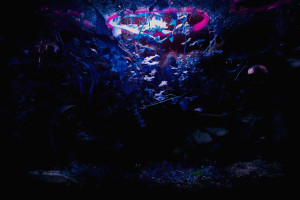 LOL赛事震动非洲大陆，国家荣耀谁能揽入怀中